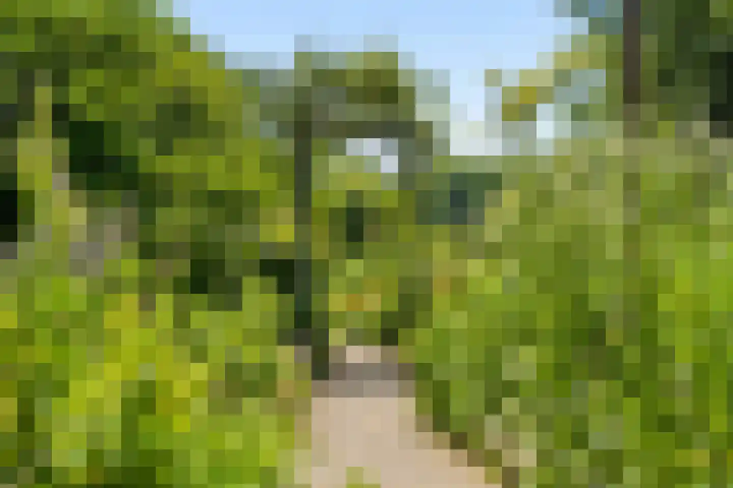 Van Musschenbroekstraat 57 Utrecht thumbnail 46