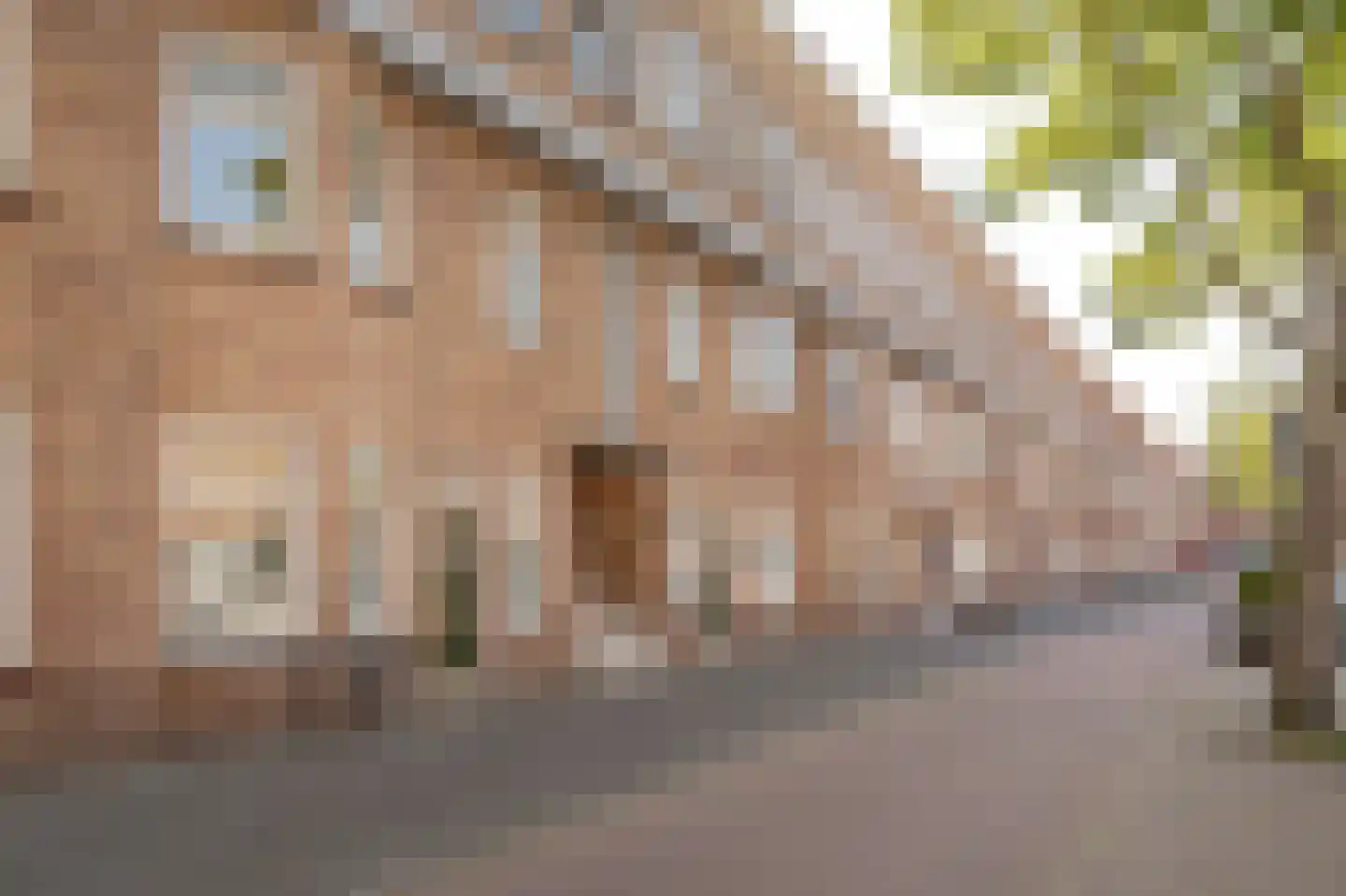 Van Musschenbroekstraat 86 Den Haag foto 2