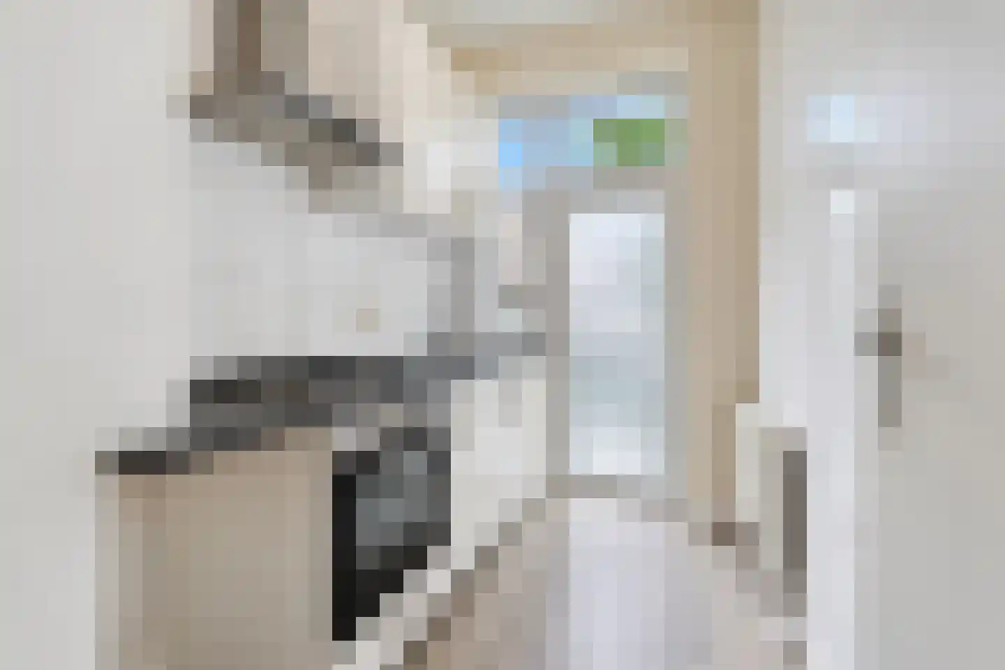 Van Musschenbroekstraat 92 Den Haag thumbnail 9