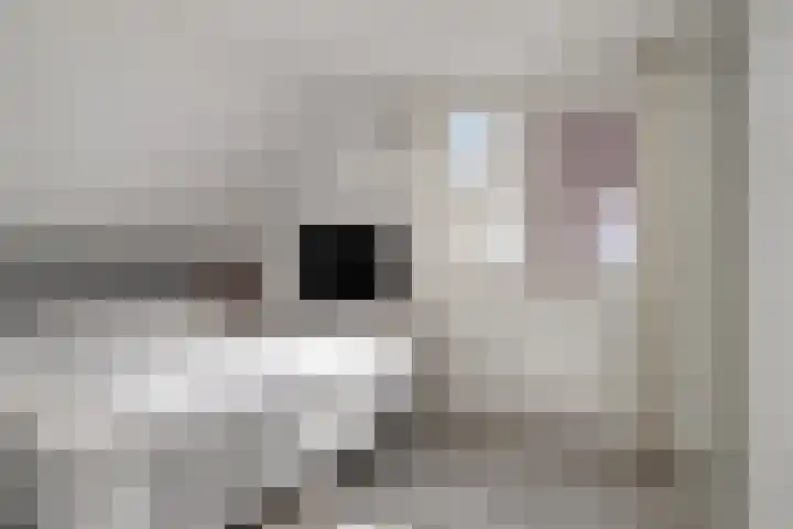 van Myrlaerstraat 10 Meerlo thumbnail 22