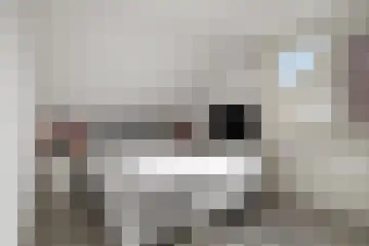van Myrlaerstraat 10 Meerlo thumbnail 23