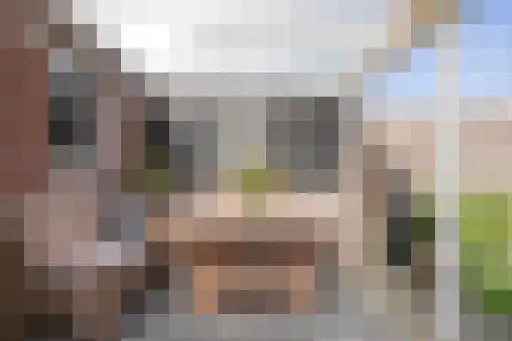 van Myrlaerstraat 10 Meerlo thumbnail 35