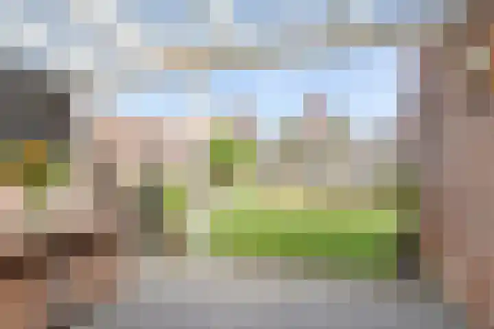 van Myrlaerstraat 10 Meerlo thumbnail 36