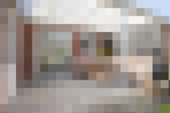 van Myrlaerstraat 10 Meerlo thumbnail 37