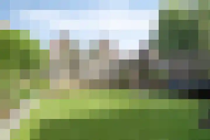 van Myrlaerstraat 10 Meerlo thumbnail 38