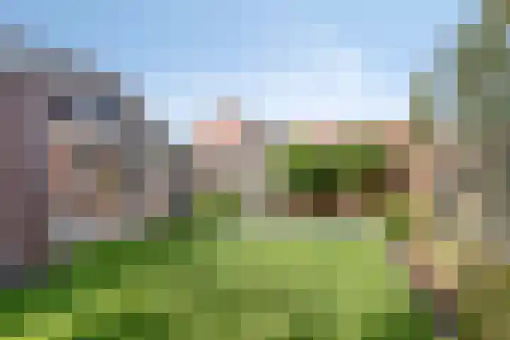 van Myrlaerstraat 10 Meerlo thumbnail 41