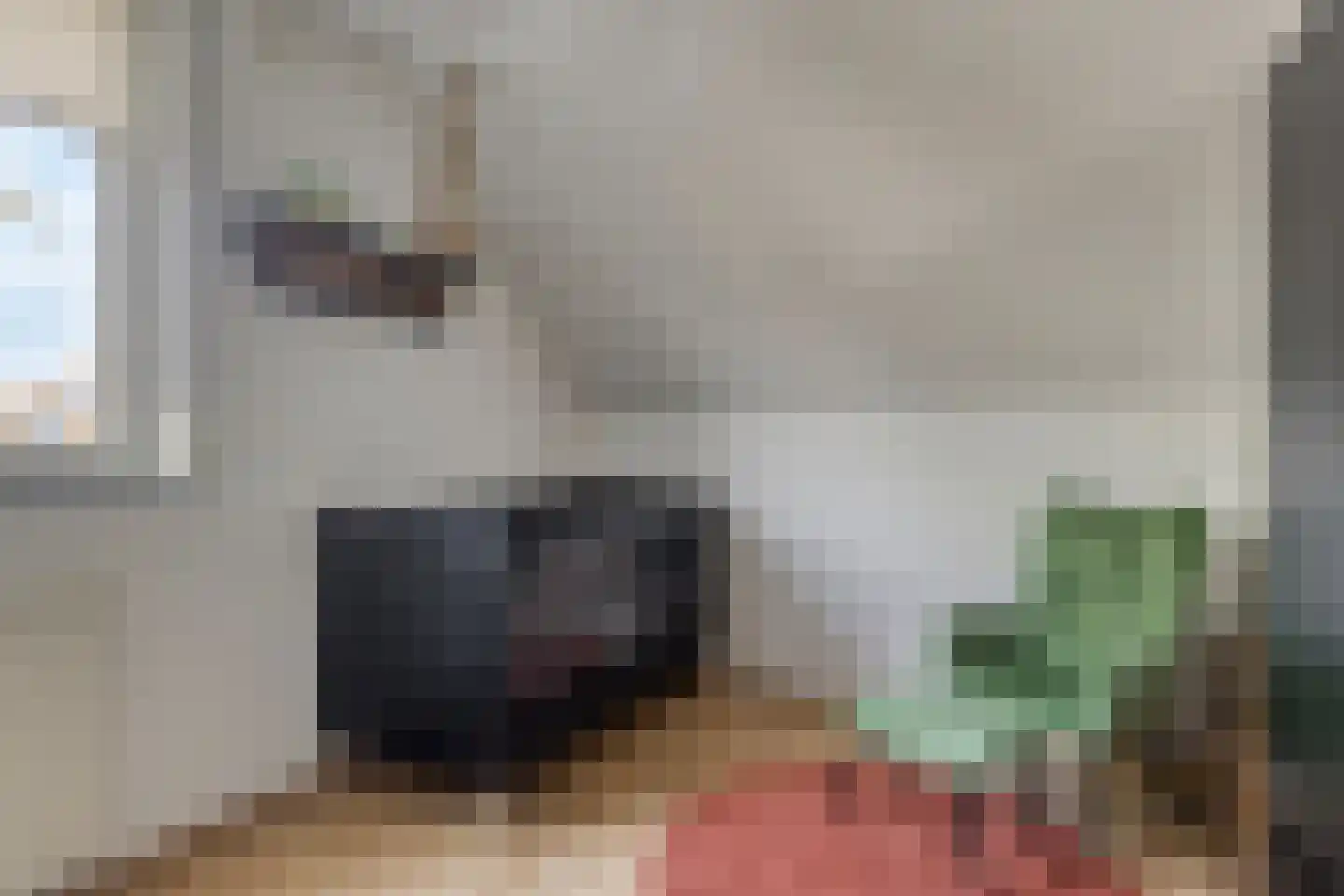 van Myrlaerstraat 13 Meerlo thumbnail 12