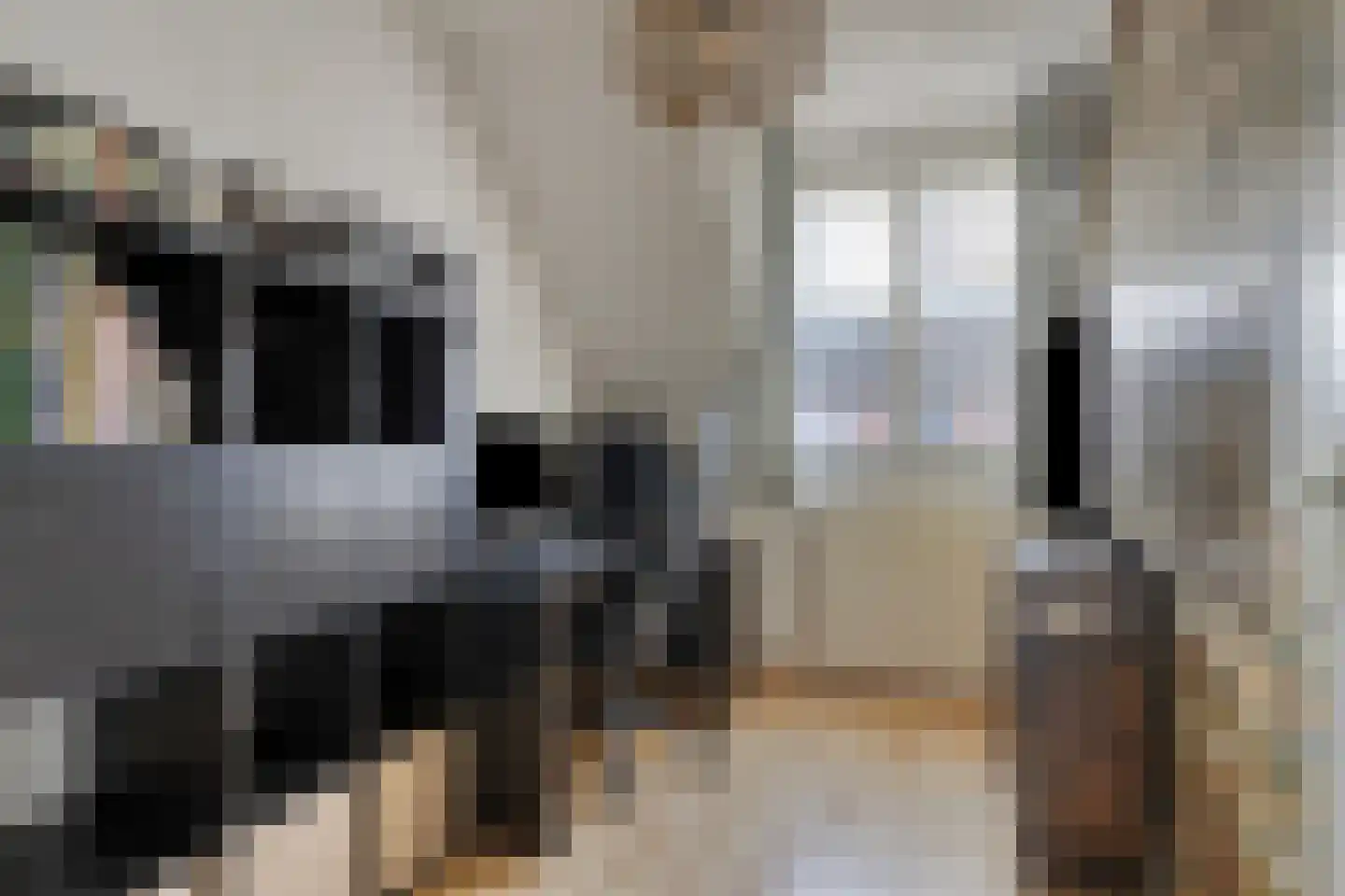 van Myrlaerstraat 13 Meerlo thumbnail 13