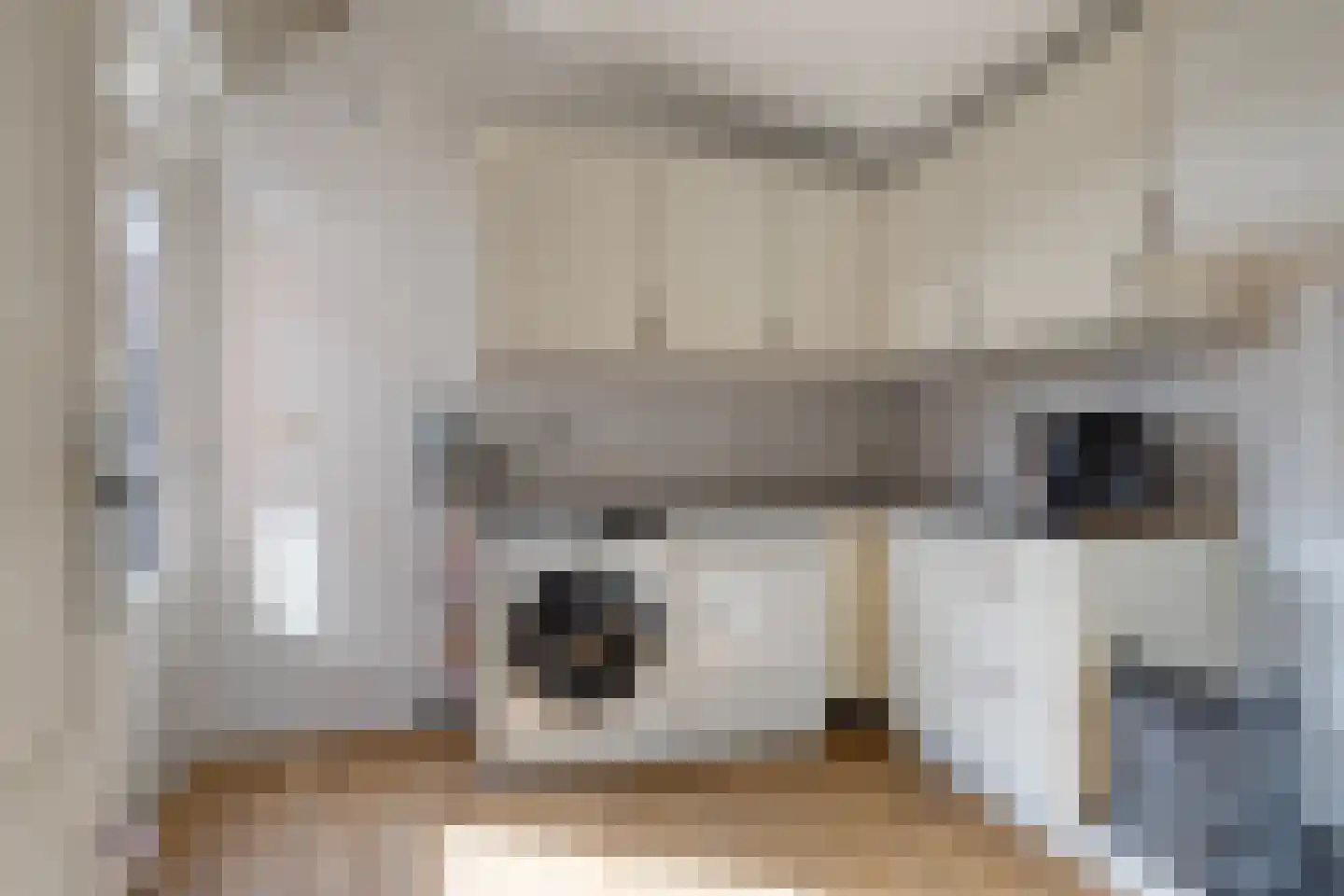 van Myrlaerstraat 13 Meerlo thumbnail 18