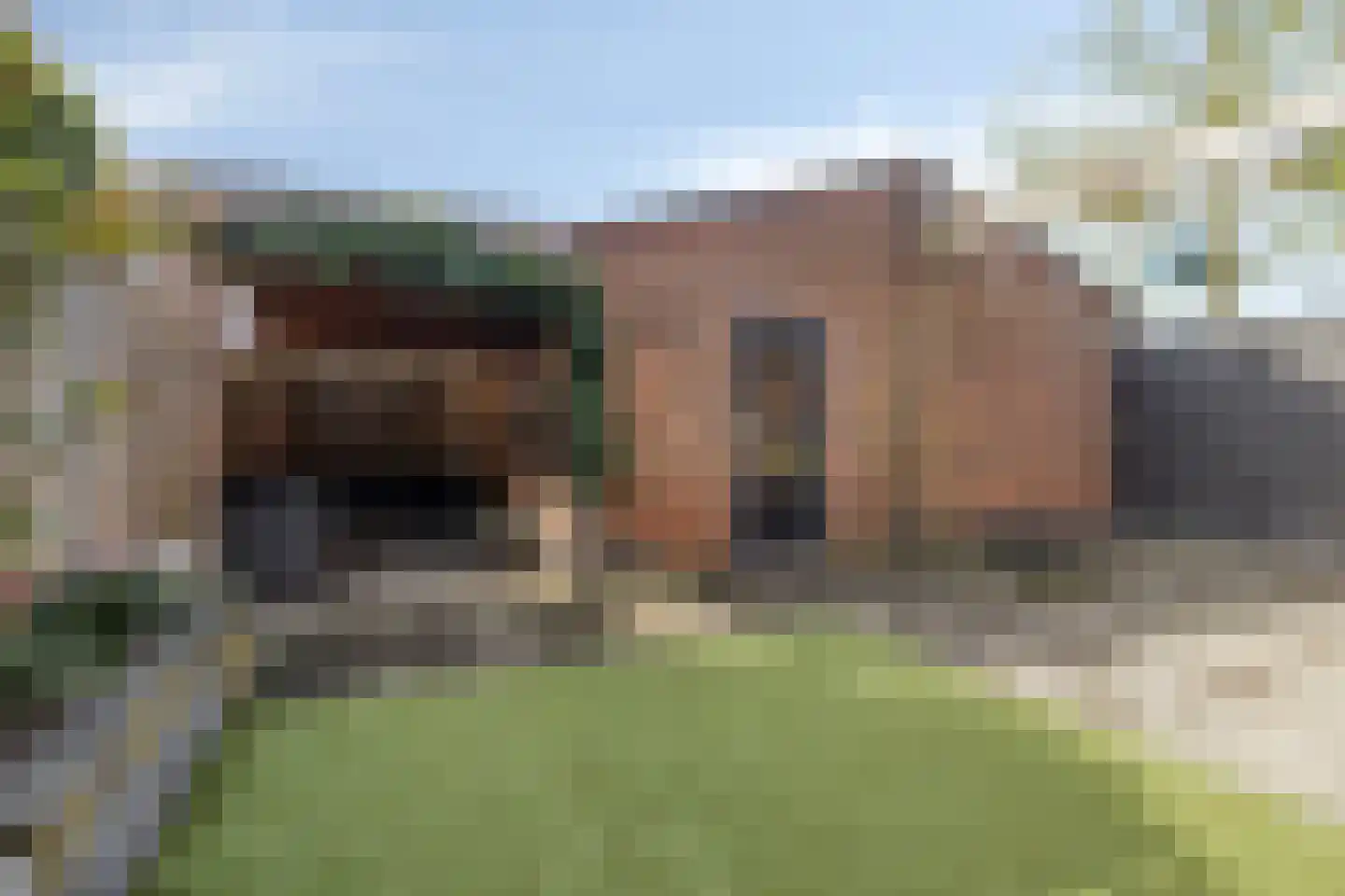 van Myrlaerstraat 13 Meerlo thumbnail 20