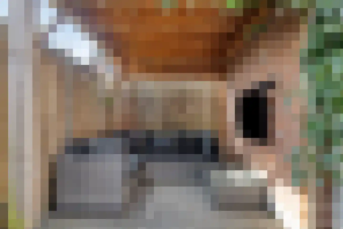 van Myrlaerstraat 13 Meerlo thumbnail 23