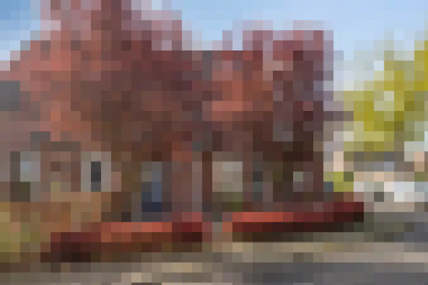 van Myrlaerstraat 13 Meerlo thumbnail 24