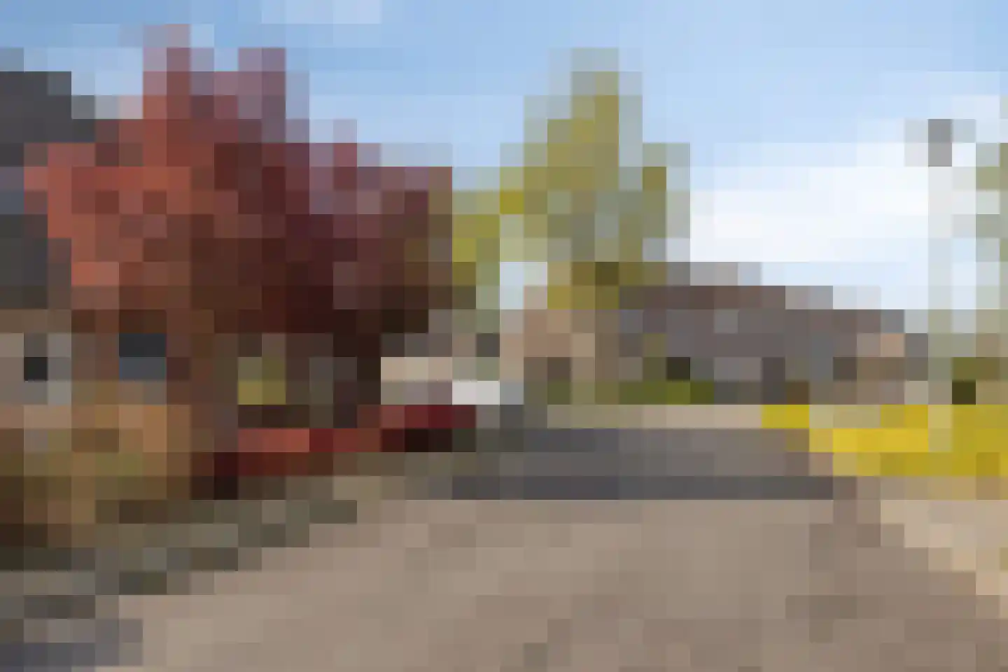 van Myrlaerstraat 13 Meerlo thumbnail 25