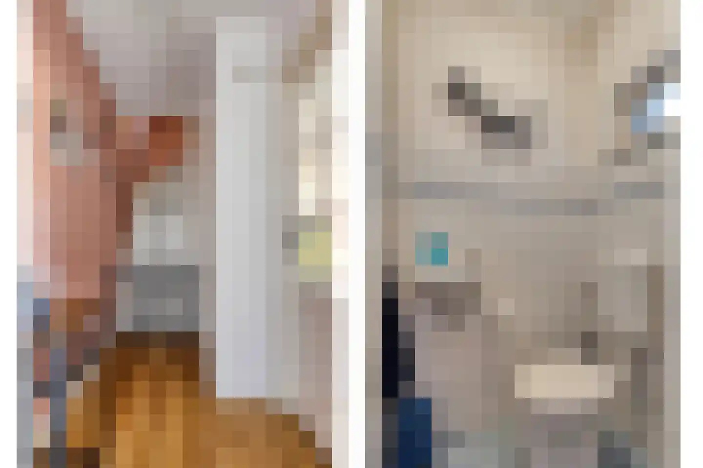 van Myrlaerstraat 13 Meerlo thumbnail 9