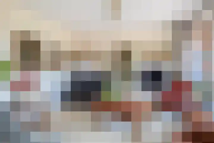 Van Naeldwijcklaan 185 Capelle aan den IJssel thumbnail 14