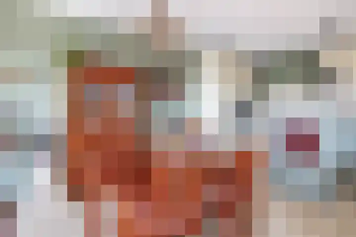 Van Naeldwijcklaan 185 Capelle aan den IJssel thumbnail 18