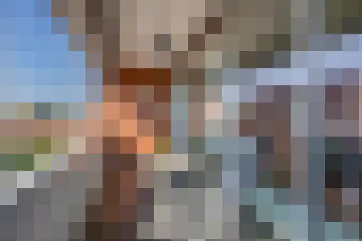 Van Naeldwijcklaan 185 Capelle aan den IJssel thumbnail 24