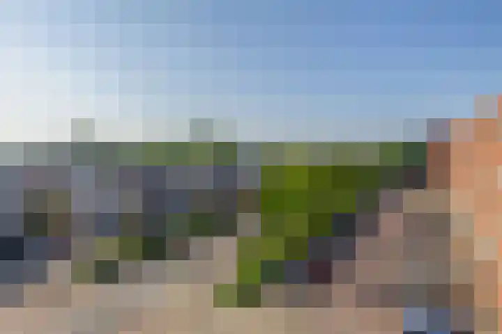 Van Naeldwijcklaan 185 Capelle aan den IJssel thumbnail 25