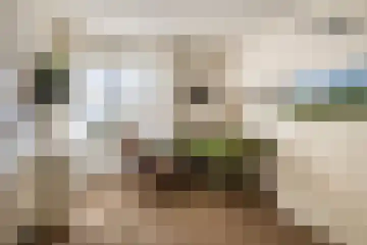 Van Naeldwijcklaan 185 Capelle aan den IJssel thumbnail 28