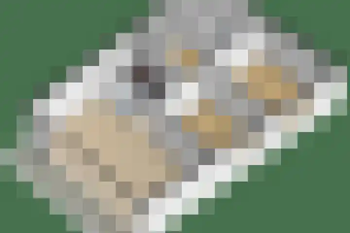 Van Naeldwijcklaan 185 Capelle aan den IJssel thumbnail 39