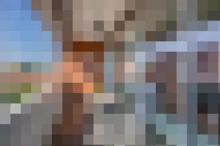 Van Naeldwijcklaan 185 Capelle aan den IJssel thumbnail 4