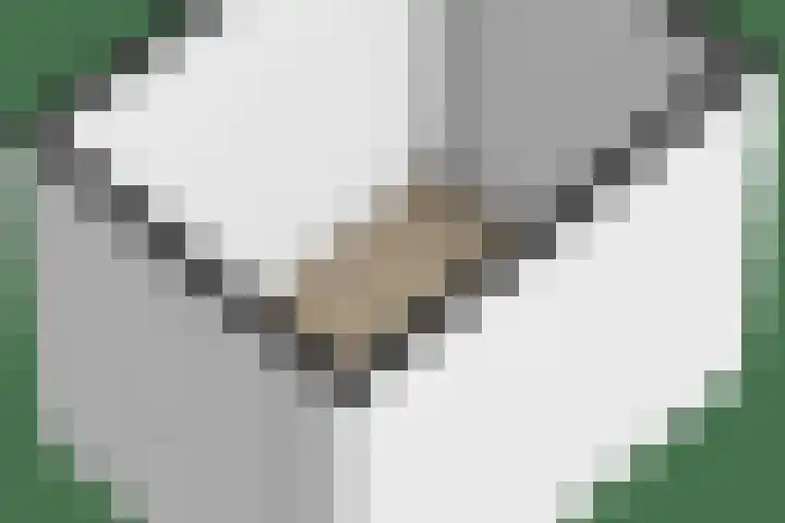 Van Naeldwijcklaan 185 Capelle aan den IJssel thumbnail 41