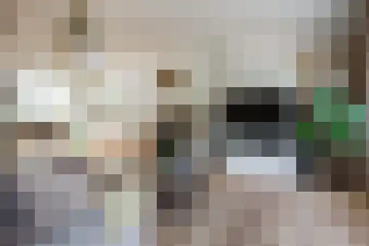van Naeldwijcklaan 26 Berkel en Rodenrijs thumbnail 11