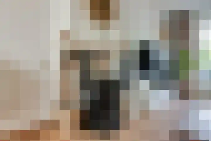 van Naeldwijcklaan 26 Berkel en Rodenrijs thumbnail 12