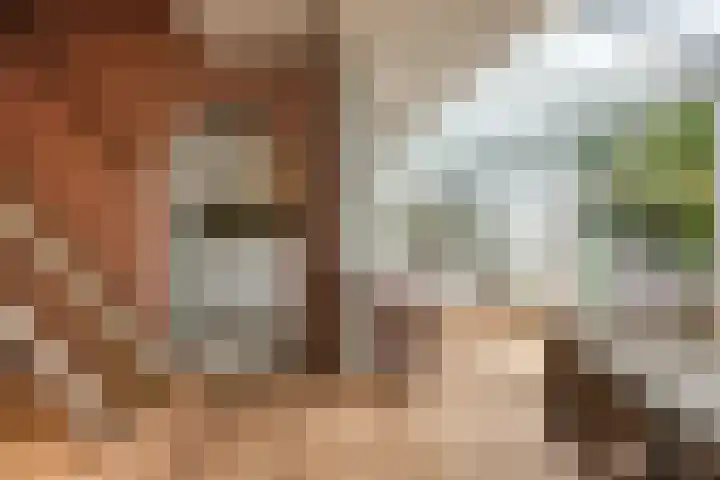 van Naeldwijcklaan 26 Berkel en Rodenrijs thumbnail 15