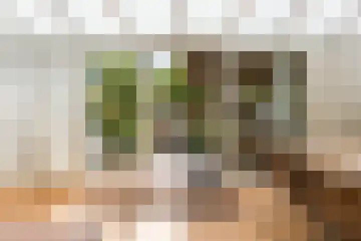 van Naeldwijcklaan 26 Berkel en Rodenrijs thumbnail 19