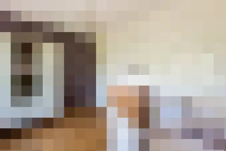 van Naeldwijcklaan 26 Berkel en Rodenrijs thumbnail 21
