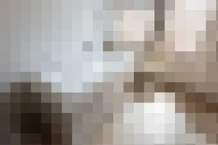 van Naeldwijcklaan 26 Berkel en Rodenrijs thumbnail 23