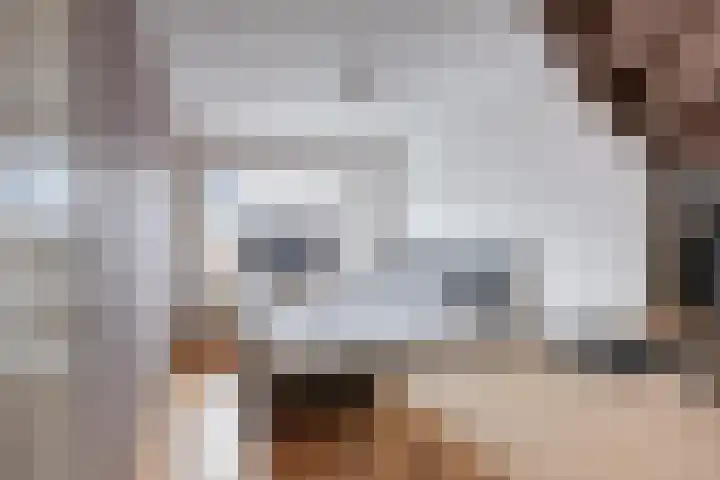 van Naeldwijcklaan 26 Berkel en Rodenrijs thumbnail 26