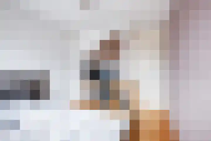 van Naeldwijcklaan 26 Berkel en Rodenrijs thumbnail 27