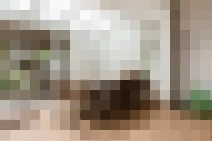 van Naeldwijcklaan 26 Berkel en Rodenrijs foto 3