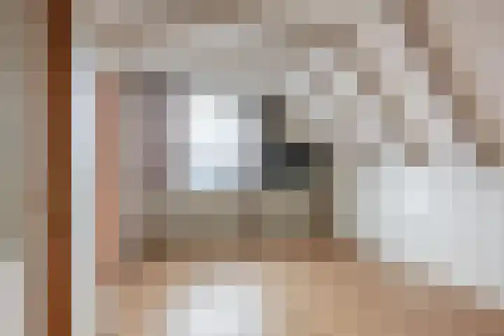 van Naeldwijcklaan 26 Berkel en Rodenrijs thumbnail 32