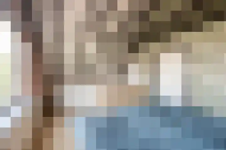 van Naeldwijcklaan 26 Berkel en Rodenrijs thumbnail 36