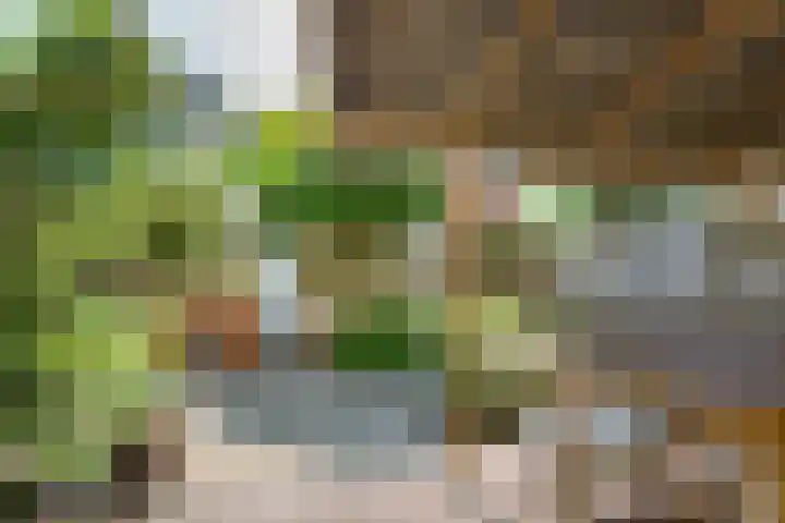 van Naeldwijcklaan 26 Berkel en Rodenrijs thumbnail 38