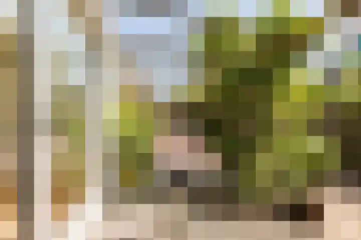 van Naeldwijcklaan 26 Berkel en Rodenrijs thumbnail 39