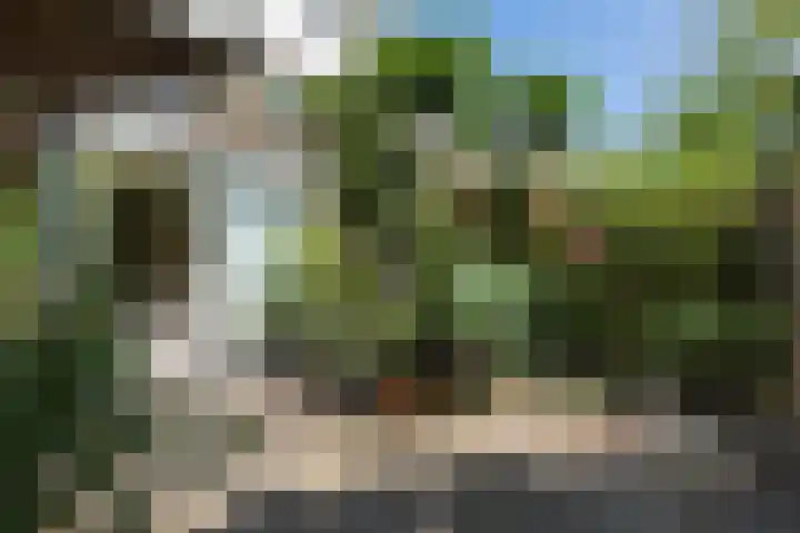 van Naeldwijcklaan 26 Berkel en Rodenrijs thumbnail 41