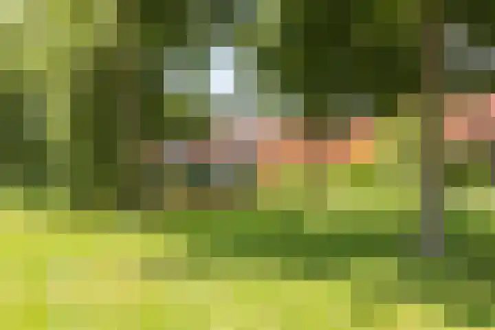 van Naeldwijcklaan 26 Berkel en Rodenrijs thumbnail 44
