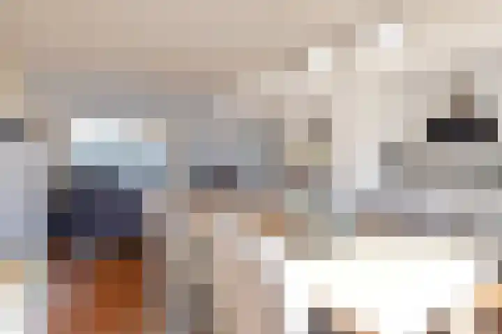van Naeldwijcklaan 34 Berkel en Rodenrijs thumbnail 11