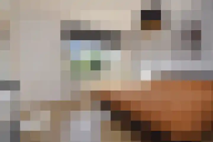 van Naeldwijcklaan 34 Berkel en Rodenrijs thumbnail 20