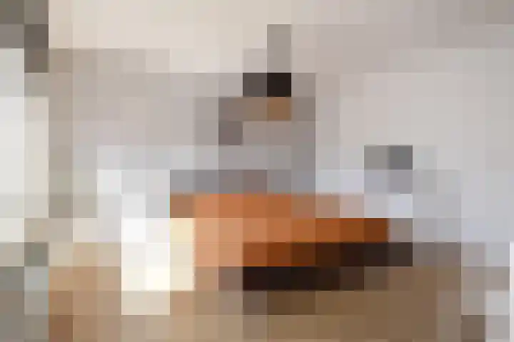 van Naeldwijcklaan 34 Berkel en Rodenrijs thumbnail 22