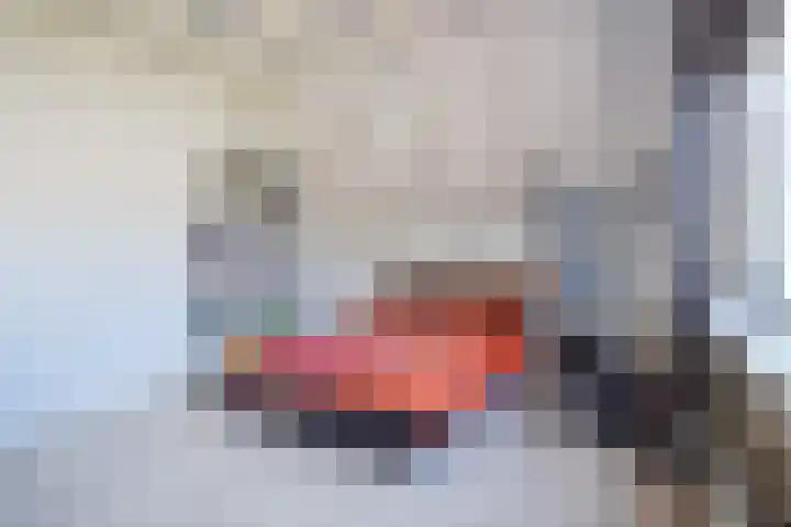 van Naeldwijcklaan 34 Berkel en Rodenrijs thumbnail 32