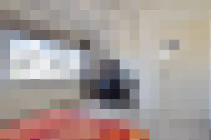 van Naeldwijcklaan 34 Berkel en Rodenrijs thumbnail 33