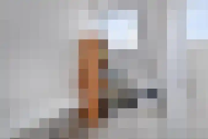 van Naeldwijcklaan 34 Berkel en Rodenrijs thumbnail 36