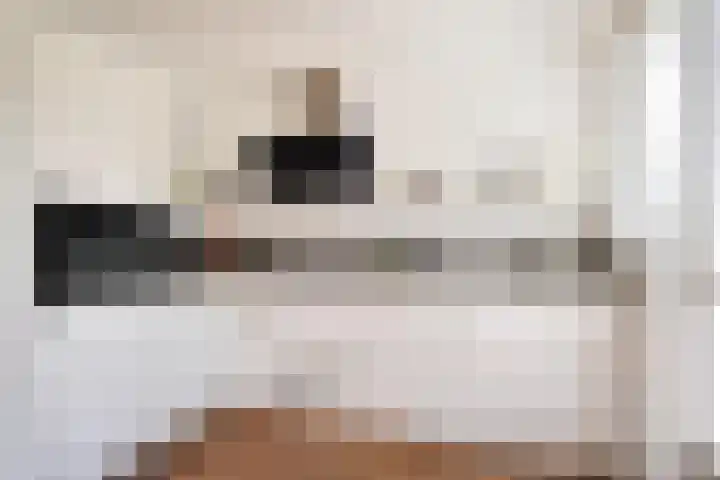 van Naeldwijcklaan 34 Berkel en Rodenrijs thumbnail 4