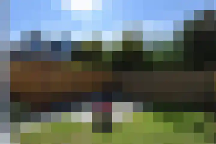 van Naeldwijcklaan 34 Berkel en Rodenrijs thumbnail 41