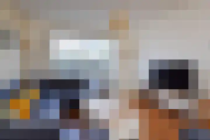 van Naeldwijcklaan 34 Berkel en Rodenrijs thumbnail 8